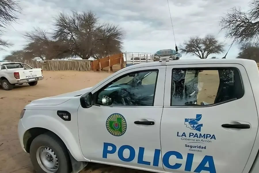 Secuestraron más de mil vacas en un operativo judicial por una presunta estafa ganadera millonaria