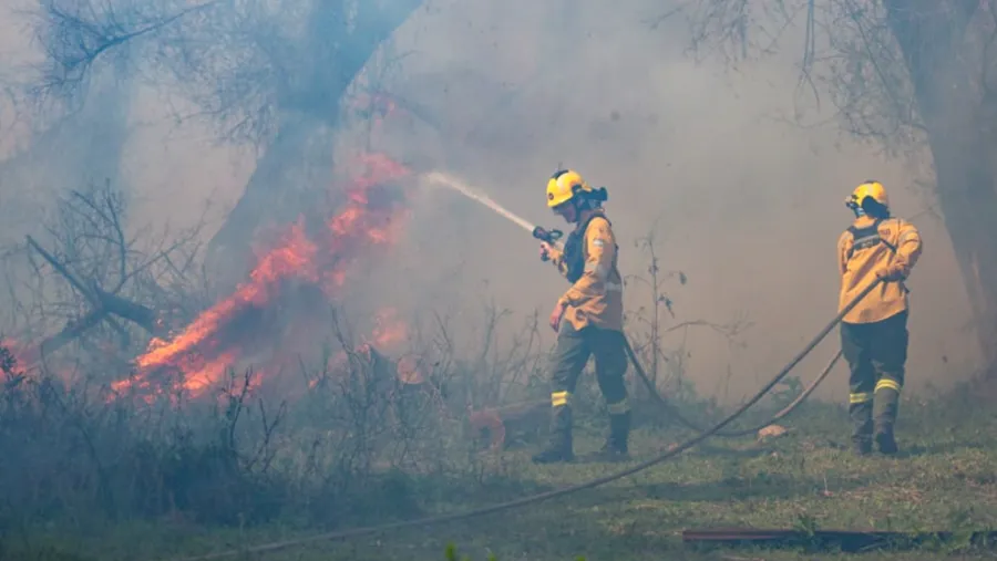 Entre Ríos envió brigadistas a Chubut para apoyar el control de incendios forestales