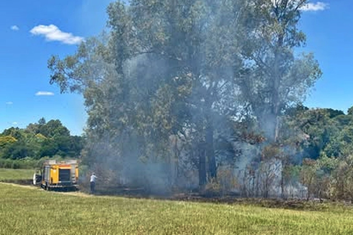 Incendio en el Parque San Carlos: autoridades aseguran que fue intencional