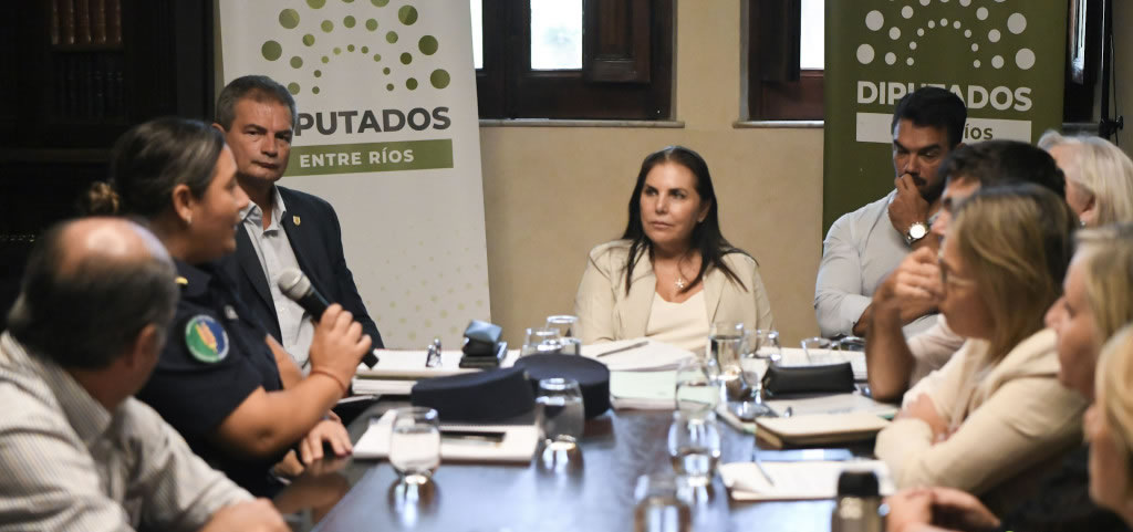 Asuntos Constitucionales comenzó el debate sobre un nuevo Código de Contravenciones