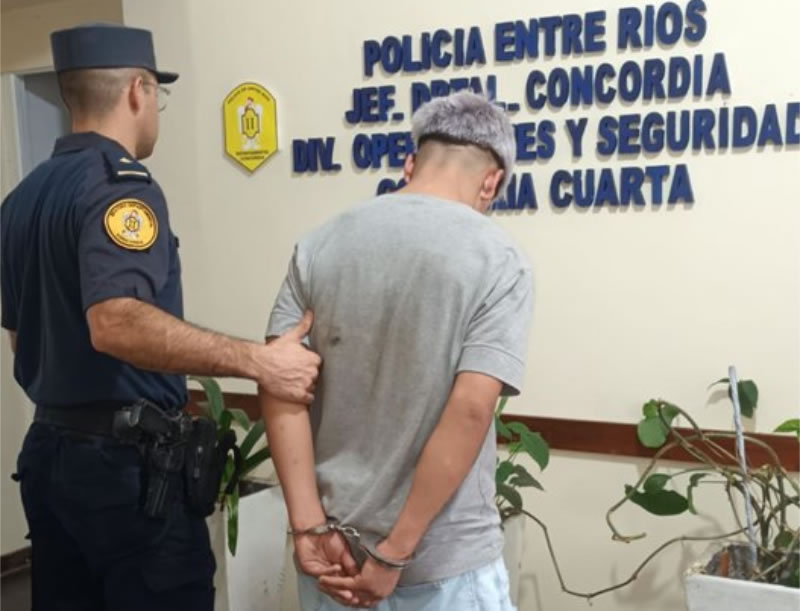 Agredió a policías cuando intentaban identificarlo por disturbios en el exterior del Corsódromo