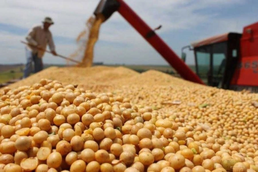 Exportaciones entrerrianas: crecieron 47% y superaron los 2.096 millones de dólares en 2025