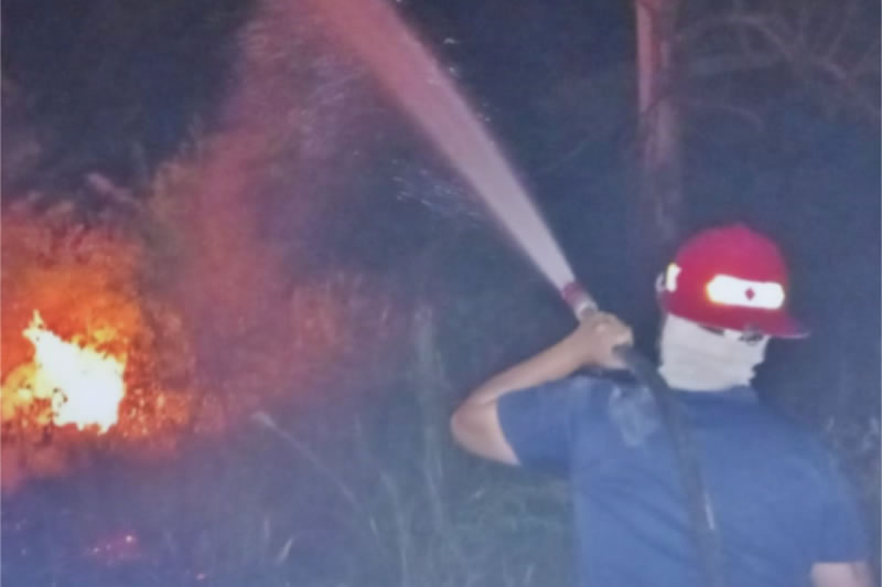Bomberos trabajaron en un incendio de pastizales que afectó cinco hectáreas y puso en riesgo una vivienda
