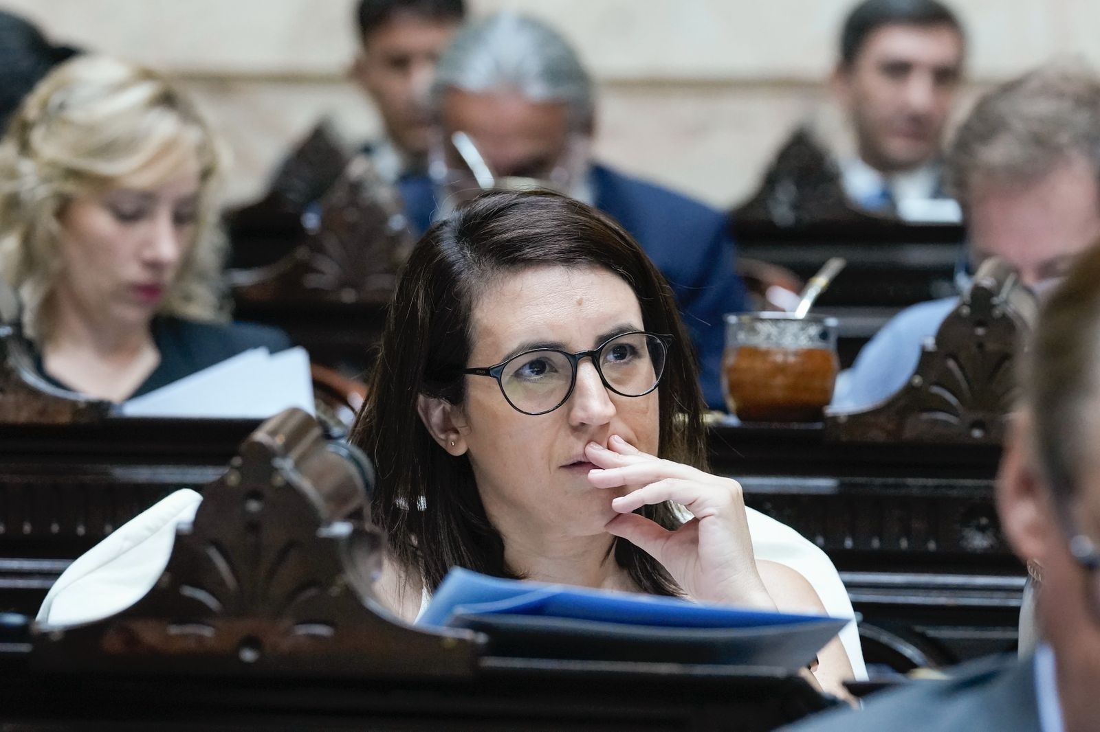 Marclay: «Bajar la edad de imputabilidad sin reformar el sistema no arreglará nada»