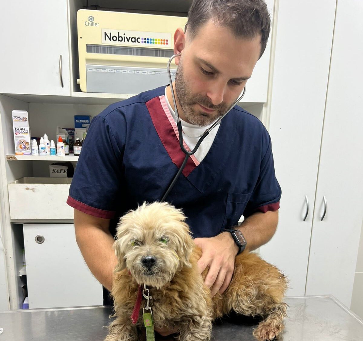 Despejando dudas sobre las prevenciones que hay que tener con las mascotas durante el verano con el médico veterinario, Luis Letroye Bonato