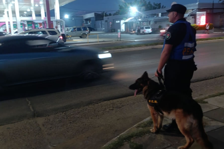 Refuerzan la presencia policial con patrullajes de la Montada y Canes en los barrios