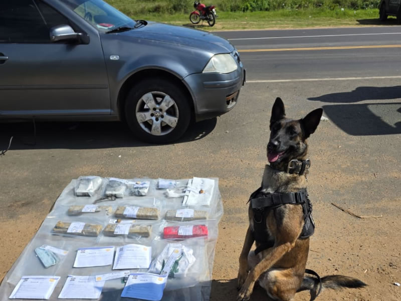 Secuestraron casi 3 kilos de cocaína y más de 4 kilos de marihuana en un control vehicular en uno de los ingresos a Concordia