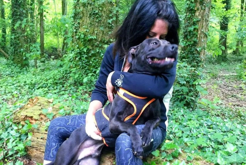 En Francia: por primera vez juzgan al dueño de un pitbull por homicidio tras el ataque de su perro a su esposa embarazada