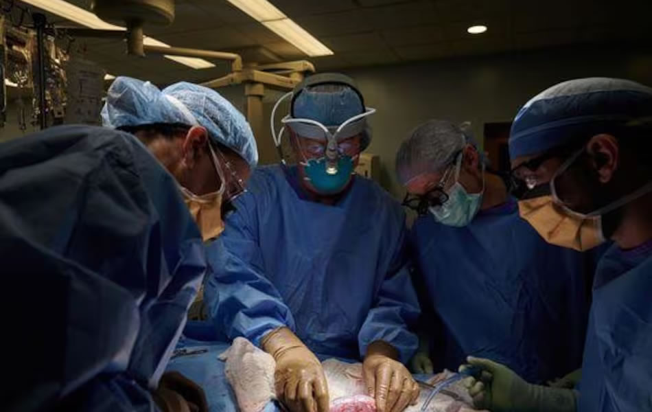Hito en la medicina nacional: se realizó la primera donación de corazón pediátrico en asistolia controlada