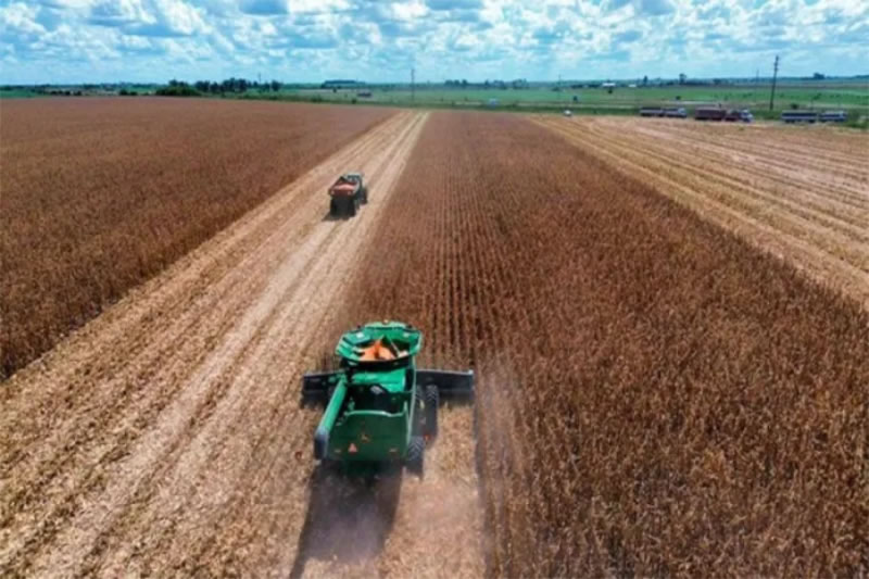 Expoagro: las definiciones de los dirigentes entrerrianos sobre el presente del campo