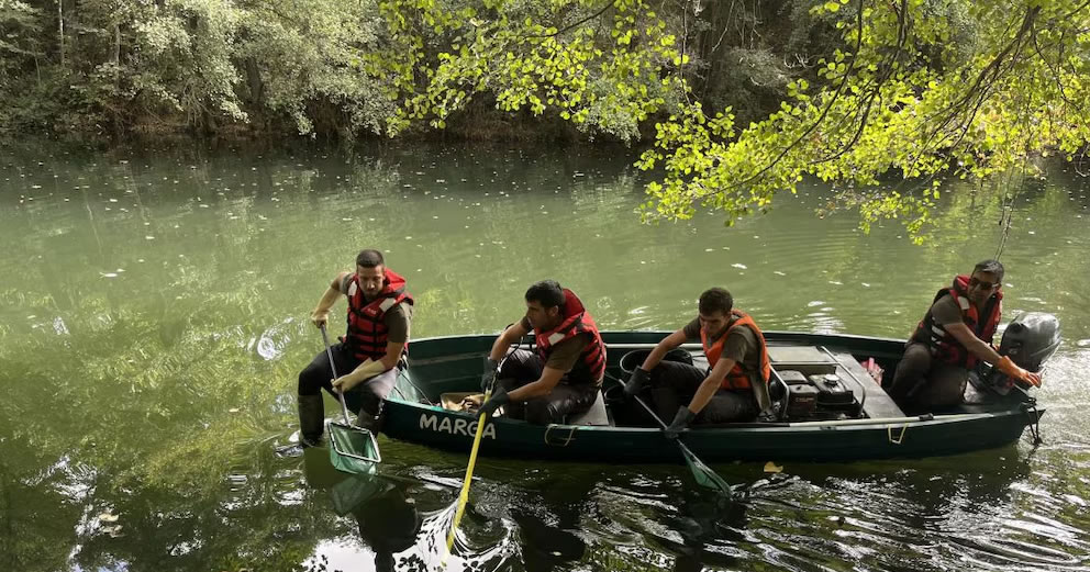Mapaches, carpas y cotorras argentinas: la Comunidad de Madrid retira más de 4.000 animales invasores en un año para proteger sus ecosistemas