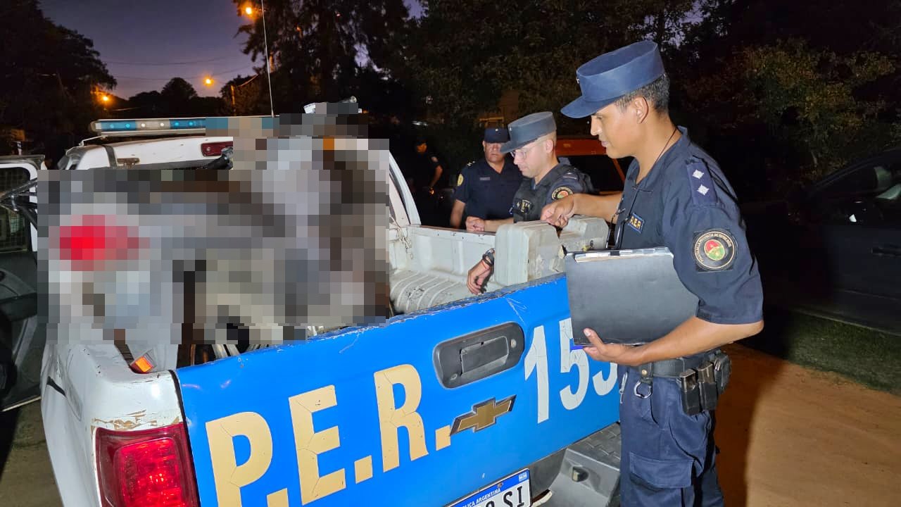 Allanaron a dos empleados municipales tras un robo en el corralón
