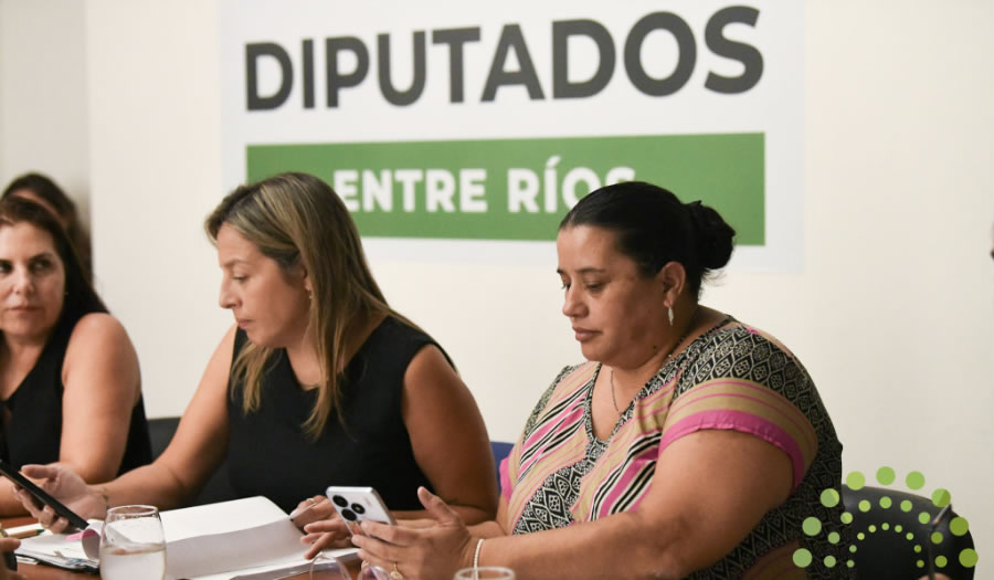 Diputados emitió dictamen para el protocolo contra la violencia laboral y de género