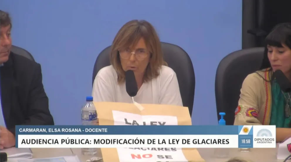 “No fue pública ni transparente”: una entrerriana apuntó contra la audiencia por la Ley de Glaciares
