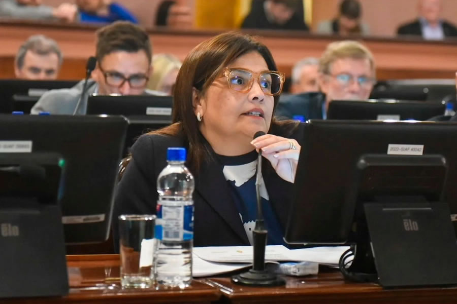 La Cámara de Diputados declarará de Interés un conversatorio sobre Autismo, Emoción, Educación y Derechos