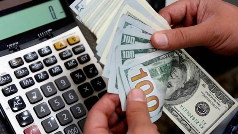 Dólares del colchón: una por una, las opciones financieras que ofrecen los bancos para hacer rendir los ahorros