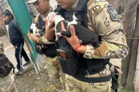 349e7035-0275-457d-bc31-6efe75eaa2be (1)