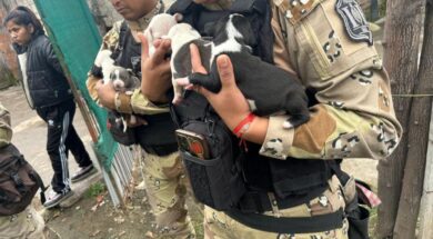 349e7035-0275-457d-bc31-6efe75eaa2be (1)