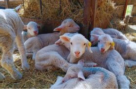 7HNFY7VMUZCXHB3VXWFDLW7CLA