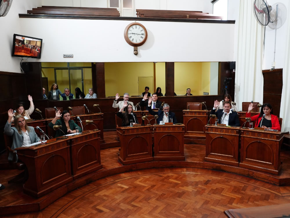 Concordia avanza hacia el fin de la tracción a sangre: Un cambio de paradigma social y animal