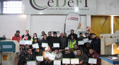 Curso 1