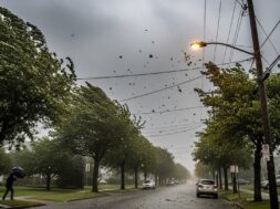 D4XINBWCMVFCVGDQKG3SAESPSA