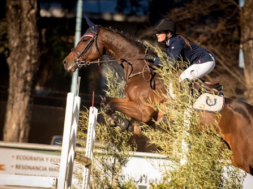 _MConverter.eu_l_1775912354_1021