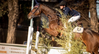 _MConverter.eu_l_1775912354_1021