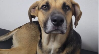 PA2ZMILC3NDBLJEP2QR7WCOWCU