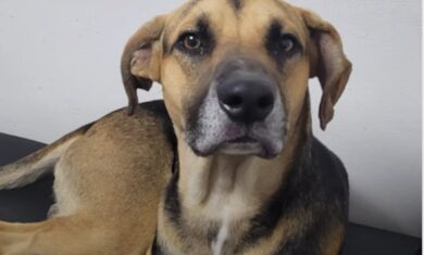 PA2ZMILC3NDBLJEP2QR7WCOWCU