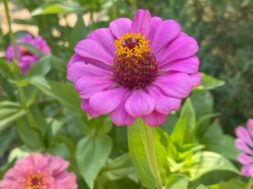 PczzJWBS3_1256x620__1