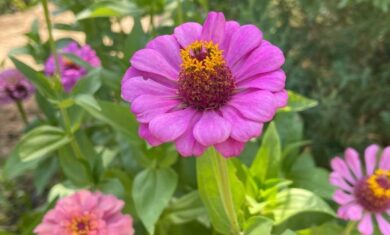 PczzJWBS3_1256x620__1