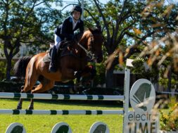 SaveClip.App_670869252_18371411095204245_2445103273446003550_n