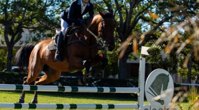 SaveClip.App_670869252_18371411095204245_2445103273446003550_n