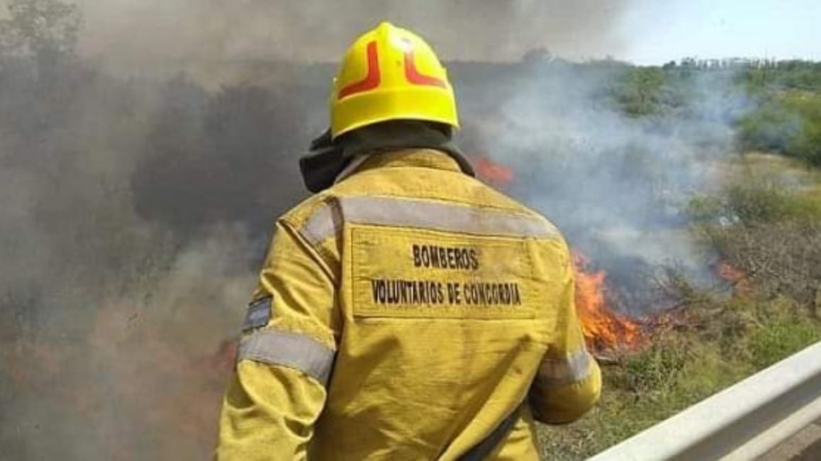 Dulce y solidario: propuesta para ayudar a Bomberos Voluntarios con una venta especial casera