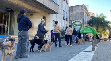 WhatsApp Image 2026-04-29 at 12.22.01