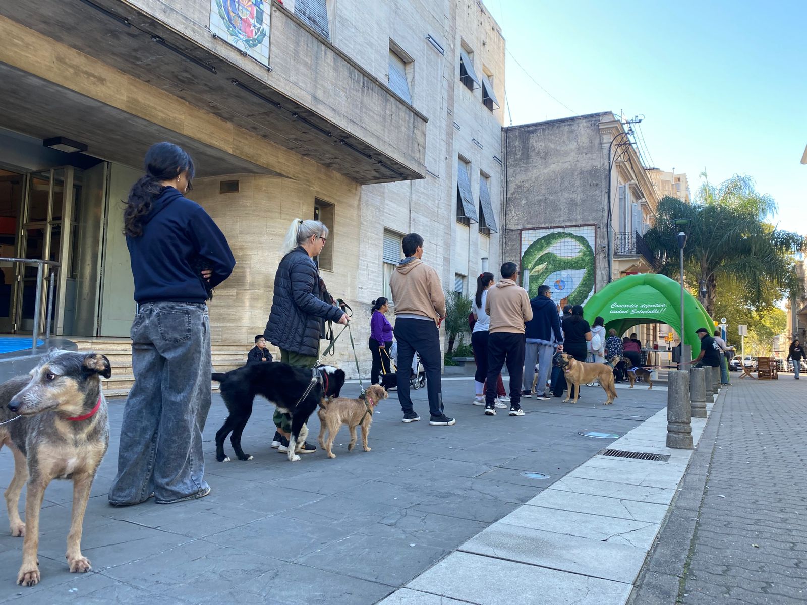 Con una jornada de vacunación antirrábica gratuita, se conmemoró el Día del Animal promoviendo la salud de perros y gatos