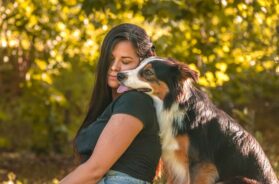 balto-es-un-border-collie-de-5-anos-foto-7IEAN43IEFFVBMXIPFITZES6RE