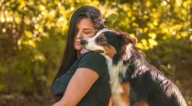 balto-es-un-border-collie-de-5-anos-foto-7IEAN43IEFFVBMXIPFITZES6RE