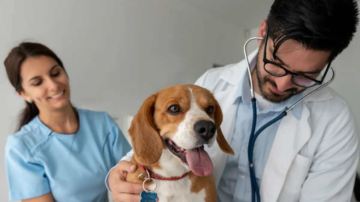 Día Mundial del Veterinario