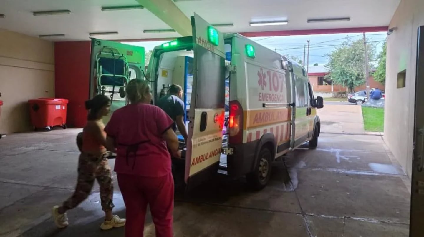 Brutalidad en Misiones: un nene de 7 años jugaba en el patio de su casa y fue atacado por siete perros