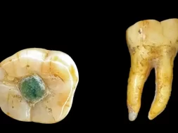 empaste-piedra-preciosa_40e2427d_260414104229_1280x780