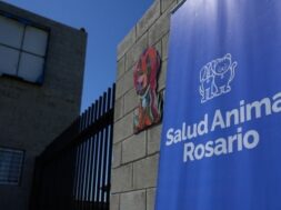 hospitalanimal.jpg_815021171