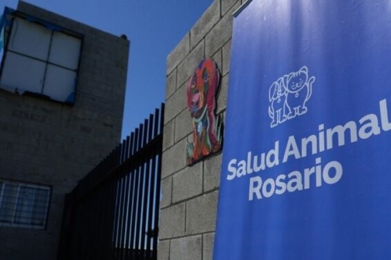 hospitalanimal.jpg_815021171