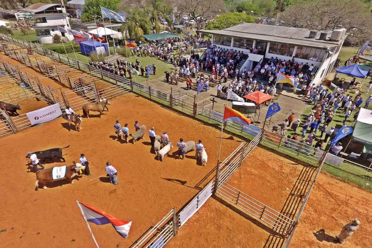 La Expo Rural Concordia 2026 ya tiene fecha: confirmaron cuándo será uno de los eventos más esperados del sector