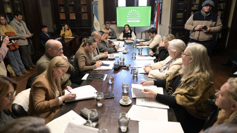 Comisiones de Diputados avanzaron en el marco procesal de Juicio Político y el fomento del Norte Provincial