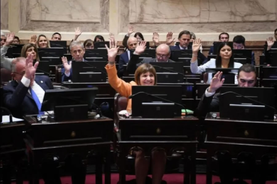 El Senado tratará el proyecto de Ficha Limpia por fuera de la Reforma Electoral