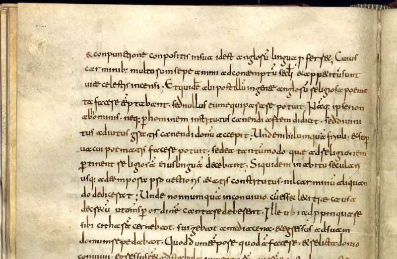 Recuperaron 42 páginas perdidas de un manuscrito del Nuevo Testamento