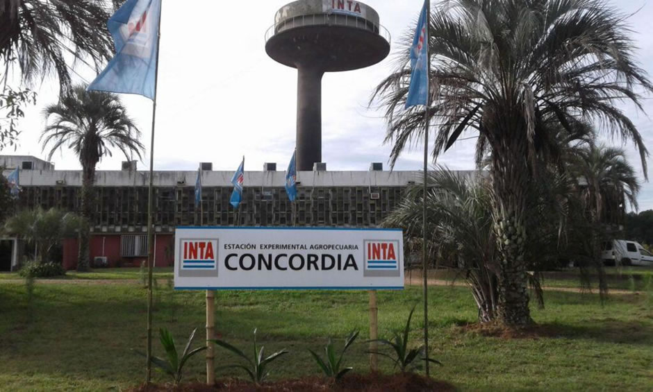 Preocupación en el INTA Concordia por el plan de retiros voluntarios impulsado por Nación