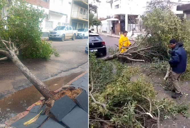 La Municipalidad asiste a familias afectadas por el temporal